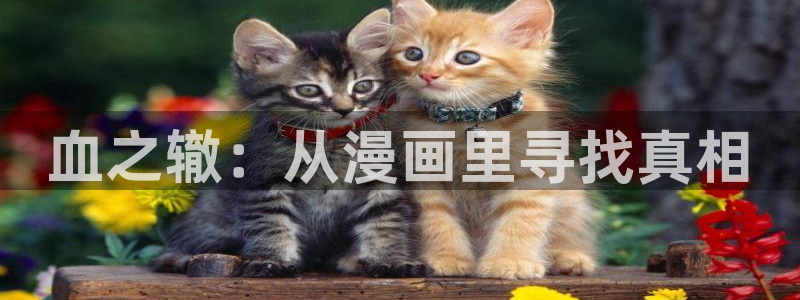 拷贝漫画正版：血之辙：从漫画里寻找真相