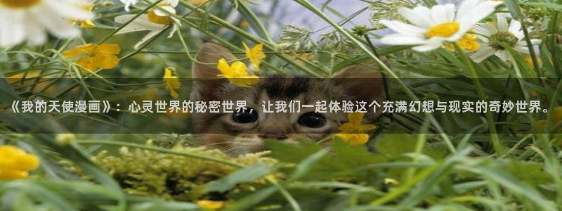 拷贝漫画入口网页版：《我的天使漫画》：心灵世界的秘密世界，让我们一起体验这个充满幻想与现实的奇妙世界。