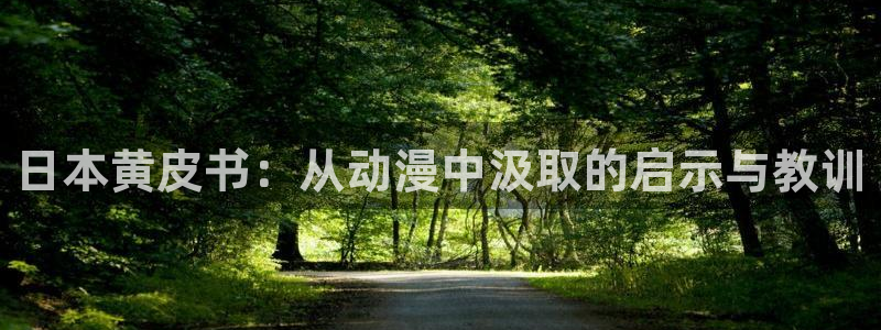 拷贝漫画2.1.4：日本黄皮书：从动漫中汲取的启示与教训